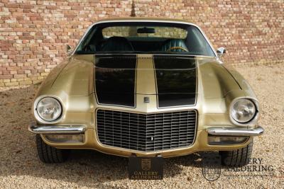 1970 Chevrolet Camaro Sport Coup&eacute; &ldquo;Split Bumper&rdquo;