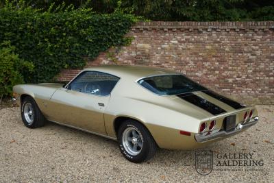 1970 Chevrolet Camaro Sport Coup&eacute; &ldquo;Split Bumper&rdquo;