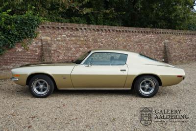 1970 Chevrolet Camaro Sport Coup&eacute; &ldquo;Split Bumper&rdquo;