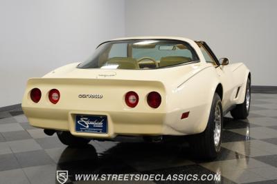 1980 Chevrolet Corvette L48