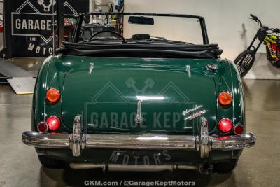 1967 Austin - Healey 3000