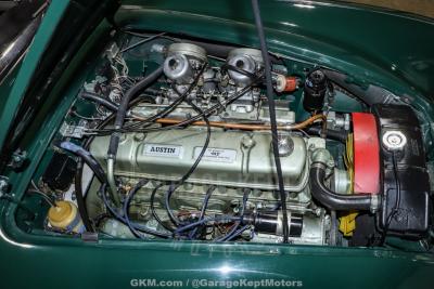 1967 Austin - Healey 3000