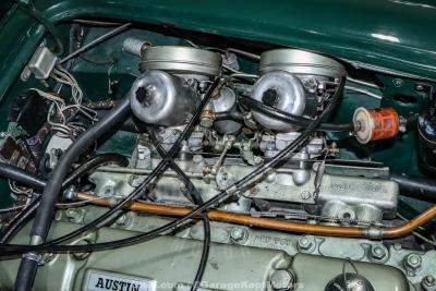 1967 Austin - Healey 3000