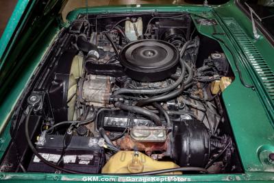 1975 International Scout