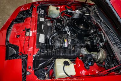 1982 Pontiac Firebird Trans Am