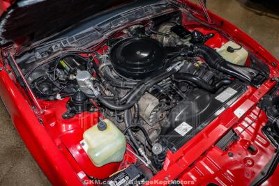 1982 Pontiac Firebird Trans Am