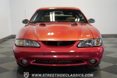 1998 Ford Mustang Cobra SVT Convertible