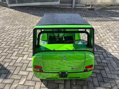 1994 Patriarca DELFINA