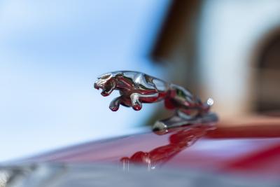 1981 Jaguar XJ6 4.2 MANUALE