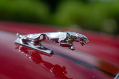 1981 Jaguar XJ6 4.2 MANUALE