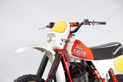 1980 Cagiva 250 RX