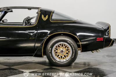 1979 Pontiac Firebird Trans Am Y84 Special Edition