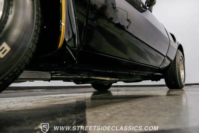 1979 Pontiac Firebird Trans Am Y84 Special Edition