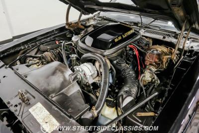 1979 Pontiac Firebird Trans Am Y84 Special Edition