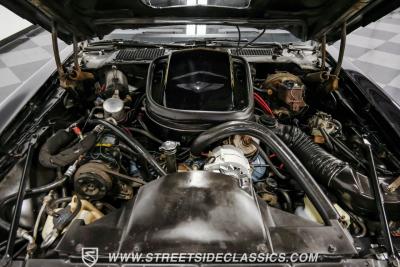 1979 Pontiac Firebird Trans Am Y84 Special Edition