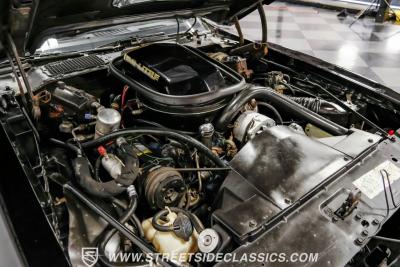 1979 Pontiac Firebird Trans Am Y84 Special Edition