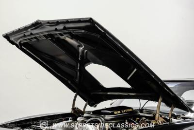 1979 Pontiac Firebird Trans Am Y84 Special Edition