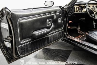 1979 Pontiac Firebird Trans Am Y84 Special Edition