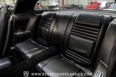 1979 Pontiac Firebird Trans Am Y84 Special Edition