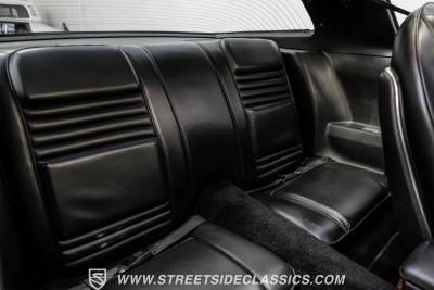 1979 Pontiac Firebird Trans Am Y84 Special Edition