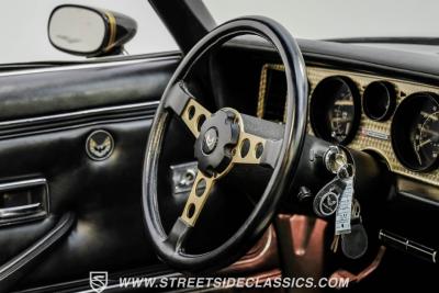 1979 Pontiac Firebird Trans Am Y84 Special Edition