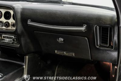 1979 Pontiac Firebird Trans Am Y84 Special Edition