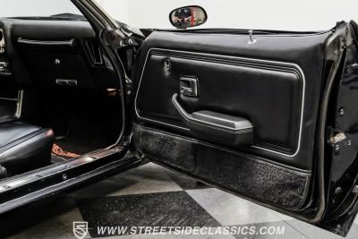 1979 Pontiac Firebird Trans Am Y84 Special Edition