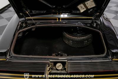 1979 Pontiac Firebird Trans Am Y84 Special Edition