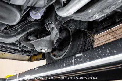 1979 Pontiac Firebird Trans Am Y84 Special Edition