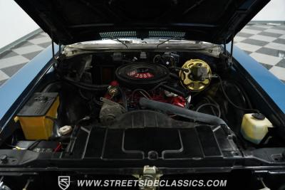 1971 Buick Skylark Custom