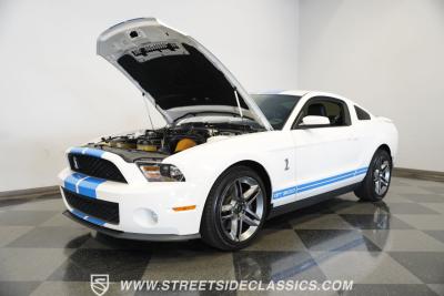 2010 Ford Mustang Shelby GT500