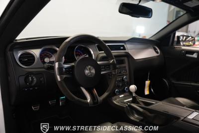 2010 Ford Mustang Shelby GT500