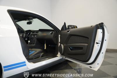 2010 Ford Mustang Shelby GT500