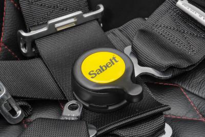 1965 Shelby Cobra 427 Backdraft