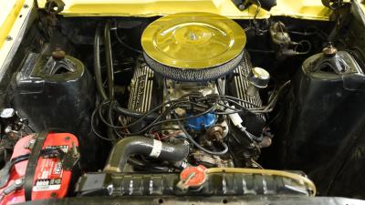 1966 Ford Fairlane 500