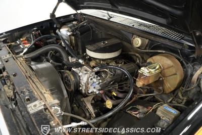 1981 Ford Bronco Ranger XLT Free-Wheeling 4X4