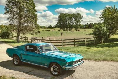 1968 Ford Mustang GT S-Code