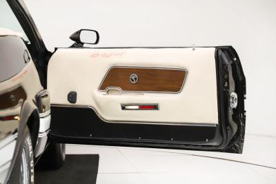 1969 Ford Mustang Shelby Tribute