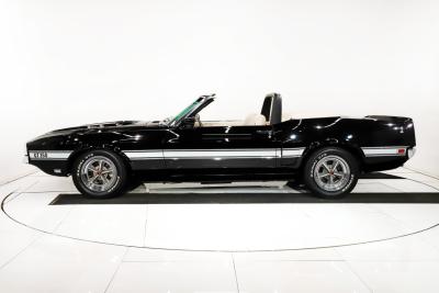 1969 Ford Mustang Shelby Tribute
