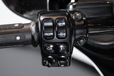 2015 Harley Davidson STREET GLIDE CVO