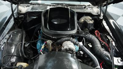 1979 Pontiac Firebird Trans Am