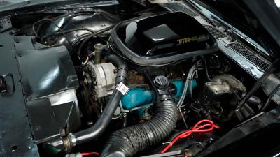 1979 Pontiac Firebird Trans Am