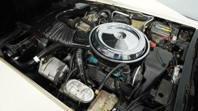 1981 Chevrolet Corvette