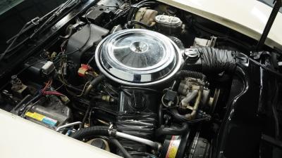 1981 Chevrolet Corvette