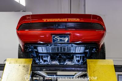 1979 Pontiac Firebird Trans Am Tribute