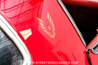 1979 Pontiac Firebird Trans Am Tribute