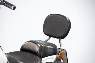 2003 Harley Davidson SOFTAIL HERITAGE 100th&deg; ANNIVERSARY