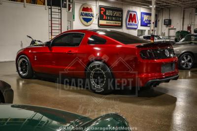 2013 Ford Shelby GT500