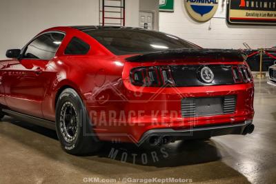 2013 Ford Shelby GT500