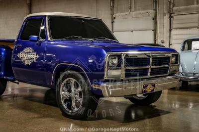 1978 Dodge D150